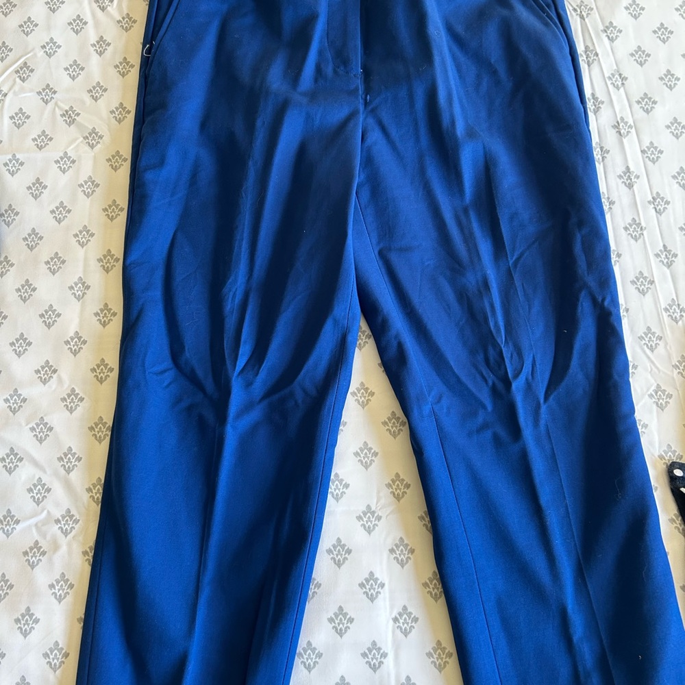 Hilary Radley Blue Women's Pants